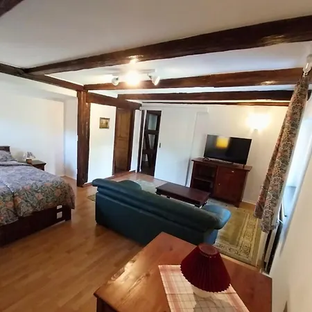 Bernsdorfer Strasse - Zentrumsnah, Teilweise Mit Balkon Oder Terrasse, Grosse Parkanlage - Ideal Fuer Familien, Paare Und Geschaeftsleute
