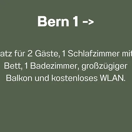 Bernsdorfer Strasse - Zentrumsnah, Teilweise Mit Balkon Oder Terrasse, Grosse Parkanlage - Ideal Fuer Familien, Paare Und Geschaeftsleute