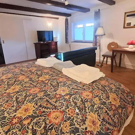 Bernsdorfer Strasse - Zentrumsnah, Teilweise Mit Balkon Oder Terrasse, Grosse Parkanlage - Ideal Fuer Familien, Paare Und Geschaeftsleute Appartement Chemnitz