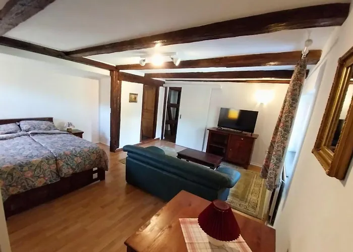 Bernsdorfer Strasse - Zentrumsnah, Teilweise Mit Balkon Oder Terrasse, Grosse Parkanlage - Ideal Fuer Familien, Paare Und Geschaeftsleute