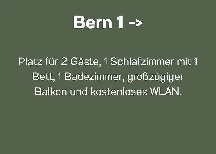 Bernsdorfer Strasse - Zentrumsnah, Teilweise Mit Balkon Oder Terrasse, Grosse Parkanlage - Ideal Fuer Familien, Paare Und Geschaeftsleute