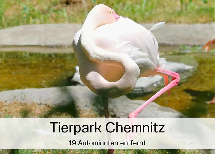 Bernsdorfer Strasse - Zentrumsnah, Teilweise Mit Balkon Oder Terrasse, Grosse Parkanlage - Ideal Fuer Familien, Paare Und Geschaeftsleute 아파트